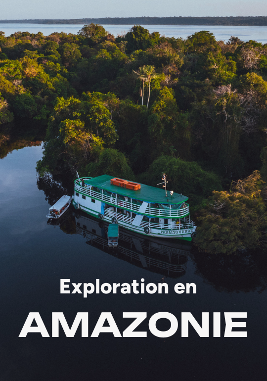 Affiche du voyage Exploration amazonienne