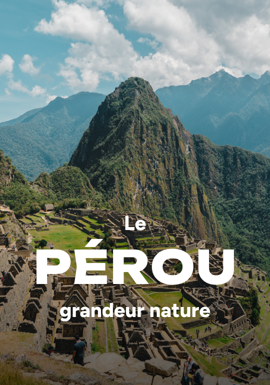 Affiche du voyage Le Pérou grandeur nature