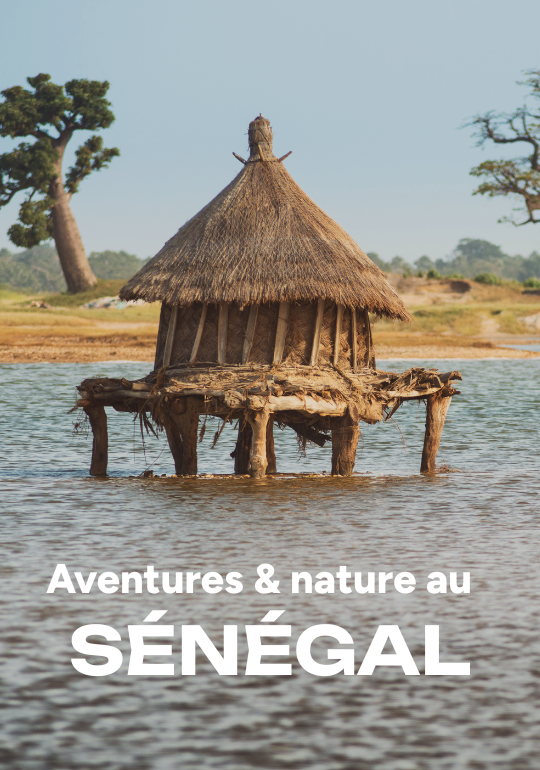 Affiche du voyage Aventures & nature au Sénégal 