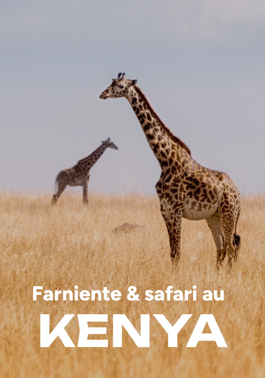 Affiche du voyage Farniente & safari au Kenya