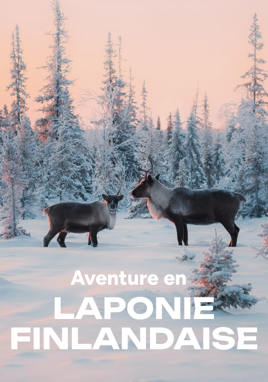 Affiche du voyage Aventure en Laponie Finlandaise