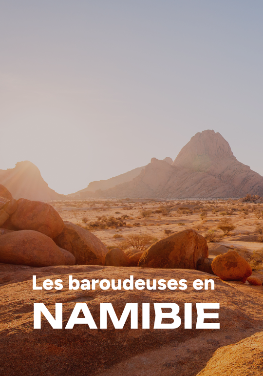 Affiche du voyage Les baroudeuses en Namibie