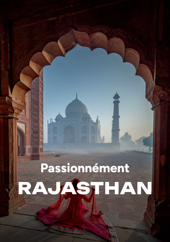 Affiche du voyage Circuit au Rajasthan, d’Udaipur au Taj Mahal