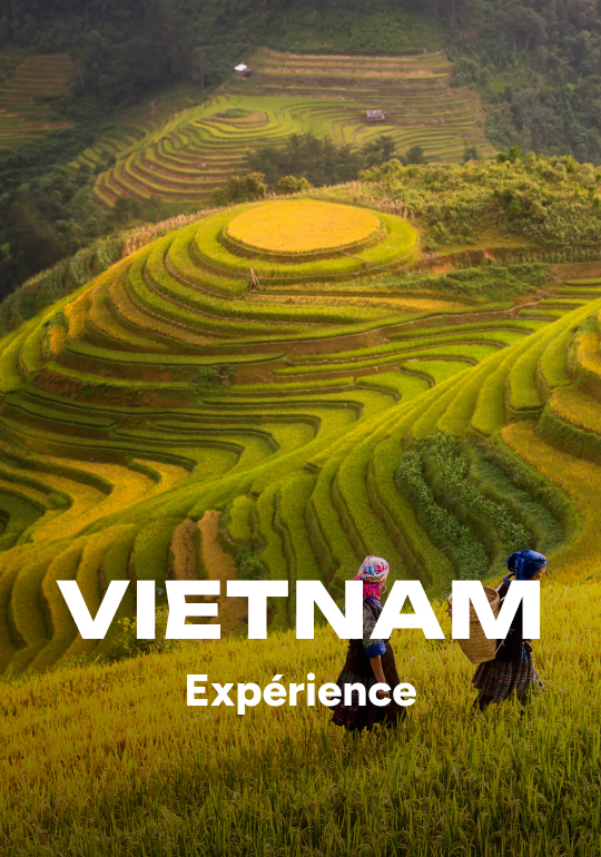 Affiche du voyage Expérience Vietnam 